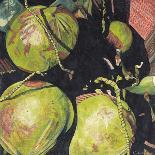 Patch of Prickly Pears on the Way to Tulancingo (Cloudy Sky) 2004-Pedro Diego Alvarado-Giclee Print