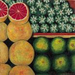 Still Life with Watermelon, 2005-Pedro Diego Alvarado-Giclee Print