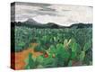 Stretched Canvas Print