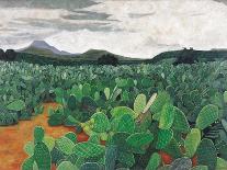 Vertical Candelabro Cactus in Oaxaca, 2003-Pedro Diego Alvarado-Giclee Print