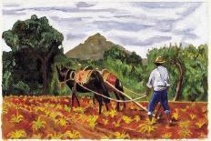 Ploughing, 1995-Pedro Diego Alvarado-Giclee Print