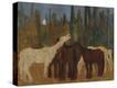 Stretched Canvas Print