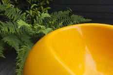 Detail of Garden with Bright Orange Seat Against Fern Foliage, Highgate, London-Pedro Silmon-Photo