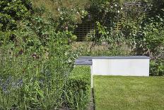L-Shaped Concrete Bench with Slate Top in Garden, London-Pedro Silmon-Photo