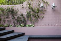Patio Garden at Basement Level Showing a Raised Bed Planted with Brunnera London-Pedro Silmon-Photo