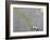 Pee-Banksy-Framed Giclee Print