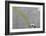 Pee-Banksy-Framed Giclee Print