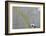 Pee-Banksy-Framed Giclee Print