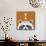 Peek-a-Boo Raccoon-Yuko Lau-Mounted Art Print displayed on a wall
