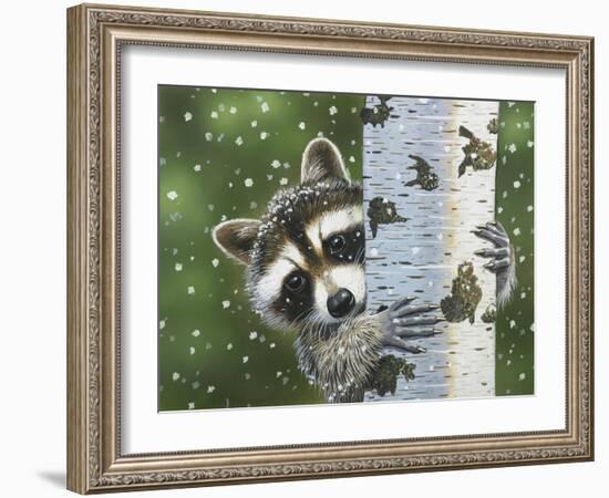 Peek-A-Boo Raccoon-William Vanderdasson-Framed Giclee Print