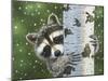 Peek-A-Boo Raccoon-William Vanderdasson-Mounted Giclee Print