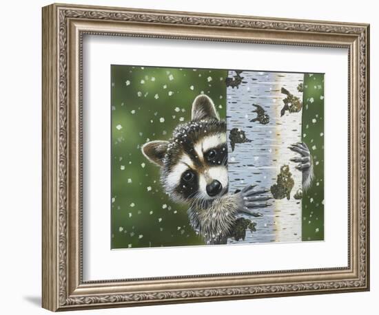 Peek-A-Boo Raccoon-William Vanderdasson-Framed Giclee Print