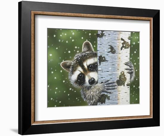 Peek-A-Boo Raccoon-William Vanderdasson-Framed Giclee Print