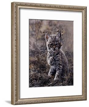 Peek A Boo-Terry Isaac-Framed Art Print