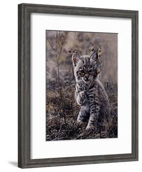 Peek A Boo-Terry Isaac-Framed Art Print