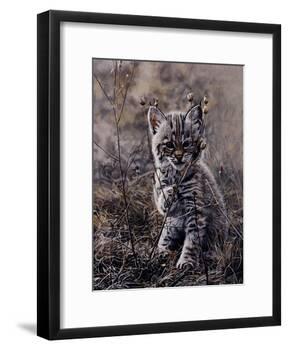 Peek A Boo-Terry Isaac-Framed Art Print