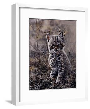 Peek A Boo-Terry Isaac-Framed Art Print