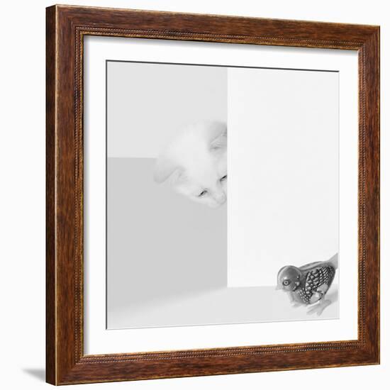 Peek a Boo-Jon Bertelli-Framed Art Print