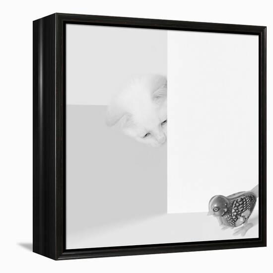 Peek a Boo-Jon Bertelli-Framed Stretched Canvas