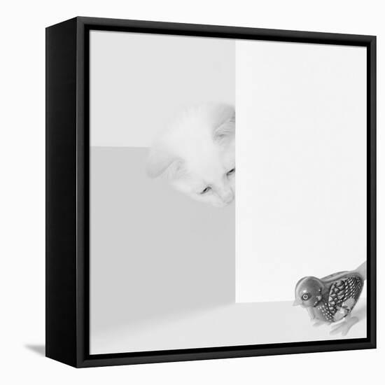 Peek a Boo-Jon Bertelli-Framed Stretched Canvas