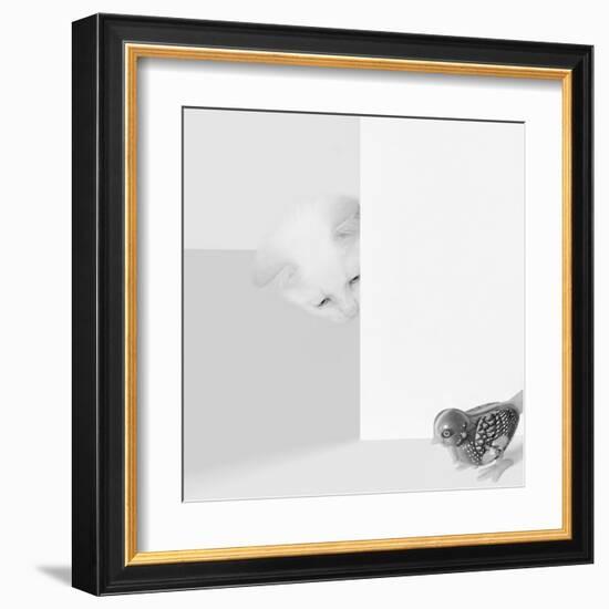 Peek a Boo-Jon Bertelli-Framed Art Print