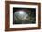 Peek to Heaven-Esmée Prexus-Framed Photographic Print