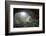 Peek to Heaven-Esmée Prexus-Framed Photographic Print