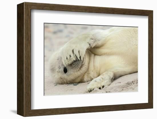 Peekaboo-Hillebrand Breuker-Framed Photographic Print