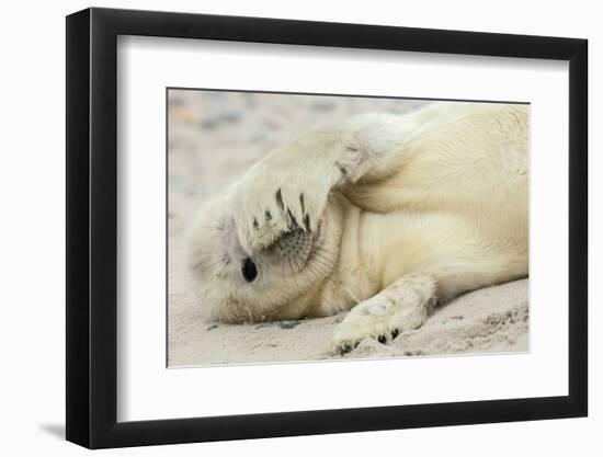 Peekaboo-Hillebrand Breuker-Framed Photographic Print