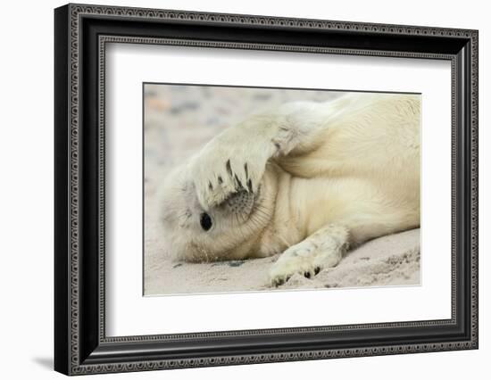 Peekaboo-Hillebrand Breuker-Framed Photographic Print