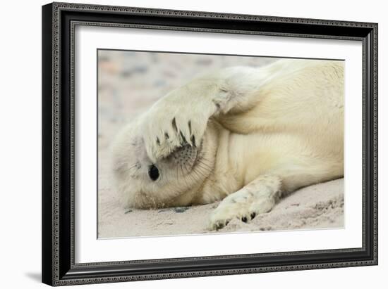 Peekaboo-Hillebrand Breuker-Framed Photographic Print