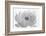 Peeking And Posing, 2009-Hiroyuki Arakawa-Framed Photographic Print