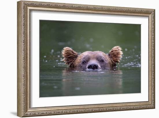 Peeking Out-Paul Joynson Hicks-Framed Giclee Print