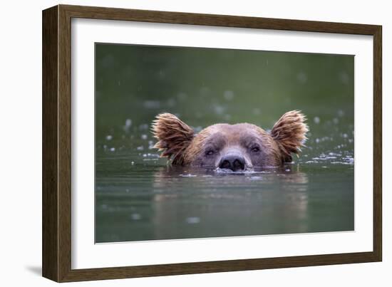 Peeking Out-Paul Joynson Hicks-Framed Giclee Print