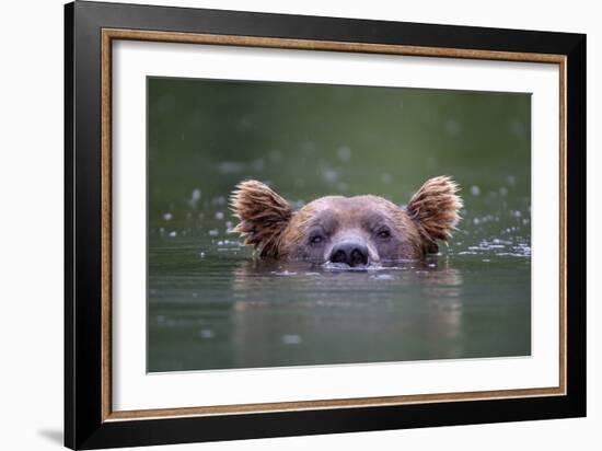 Peeking Out-Paul Joynson Hicks-Framed Giclee Print