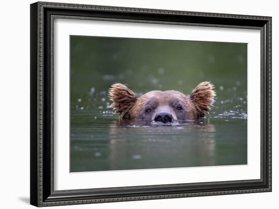 Peeking Out-Paul Joynson Hicks-Framed Giclee Print