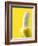 Peeled Banana-Victor Habbick-Framed Photographic Print