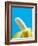 Peeled Banana-Victor Habbick-Framed Photographic Print