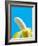 Peeled Banana-Victor Habbick-Framed Photographic Print