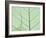 Peepal Leaf Detail, Popular Medicinal Plant, India-Kevin Schafer-Framed Photographic Print