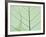 Peepal Leaf Detail, Popular Medicinal Plant, India-Kevin Schafer-Framed Photographic Print