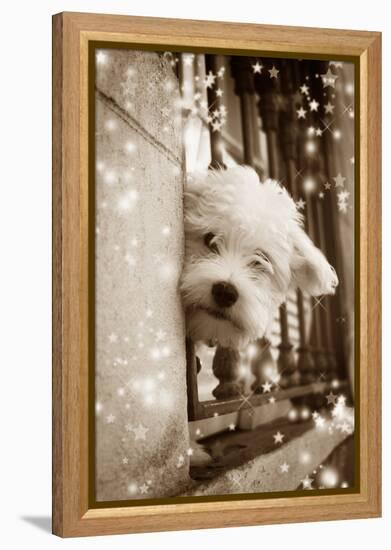 Peering Out of Window-null-Framed Premier Image Canvas