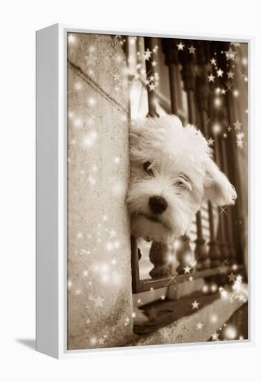 Peering Out of Window-null-Framed Premier Image Canvas