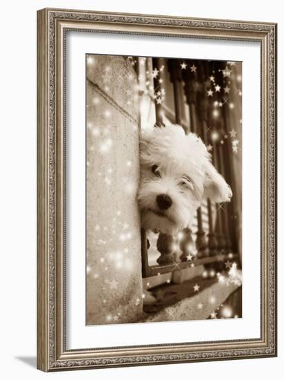 Peering Out of Window-null-Framed Photographic Print