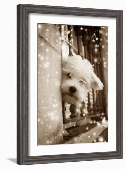 Peering Out of Window-null-Framed Photographic Print