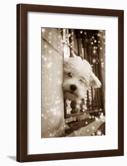 Peering Out of Window-null-Framed Photographic Print