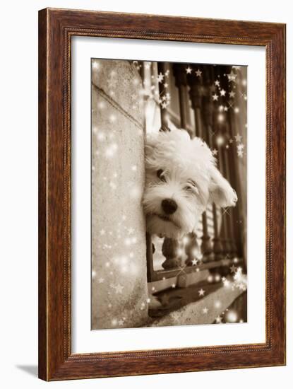 Peering Out of Window-null-Framed Photographic Print