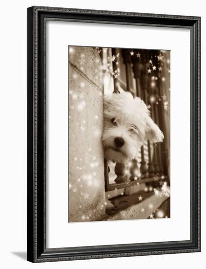 Peering Out of Window-null-Framed Photographic Print