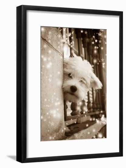 Peering Out of Window-null-Framed Photographic Print