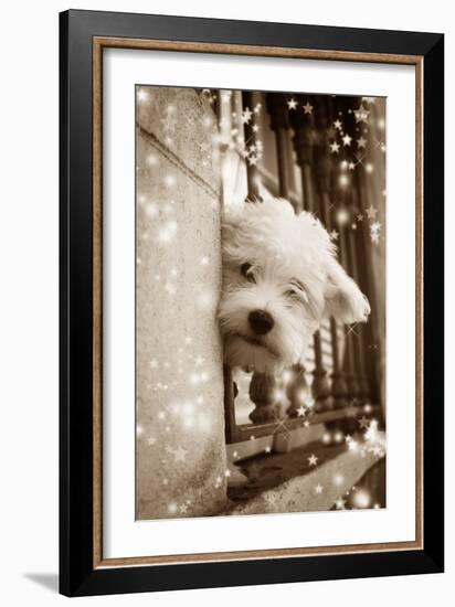 Peering Out of Window-null-Framed Photographic Print